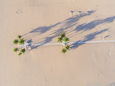 运用剑雅阅读真题 备考雅思小作文图2