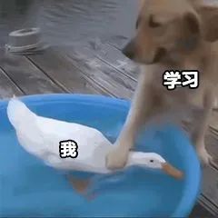 1667554373483241.jpg 4.jpg