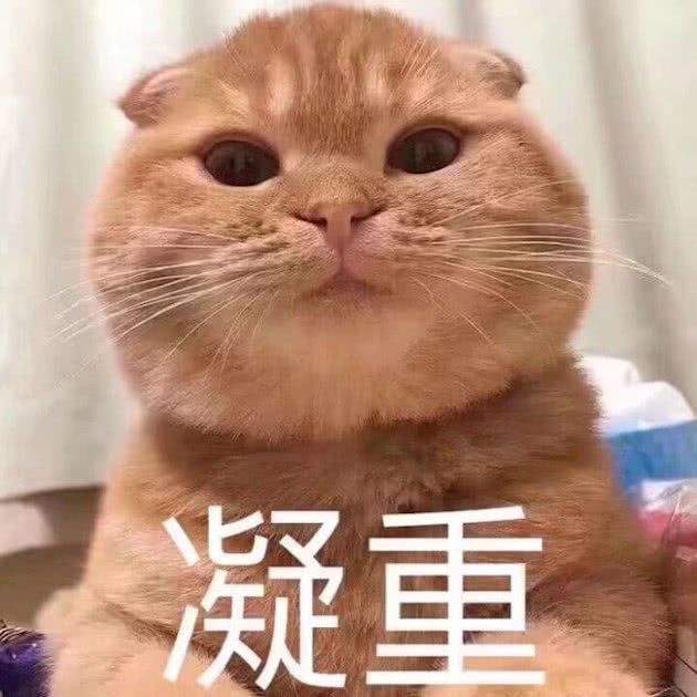 1666163857248019.jpeg 凝重.jpeg