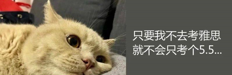 1667965484897195.jpg 不考雅思.jpg