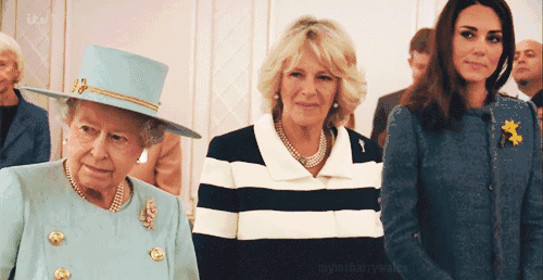 1673317798406108.gif 1.gif